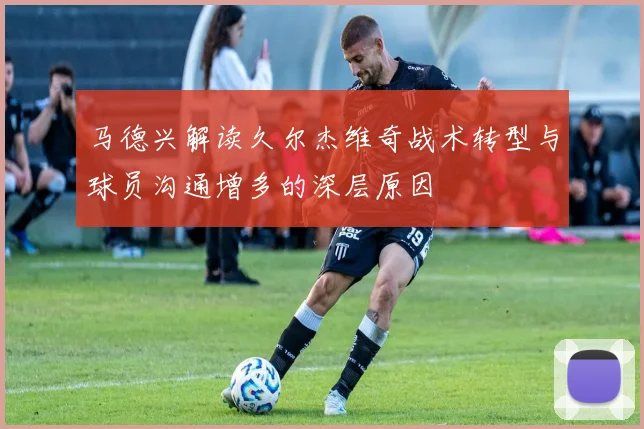 马德兴解读久尔杰维奇战术转型与球员沟通增多的深层原因